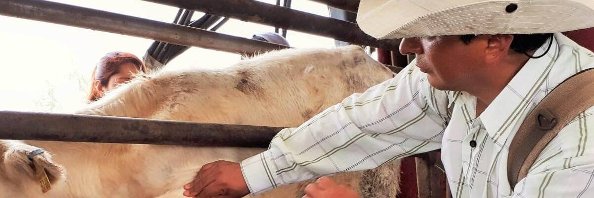 Van 87.8 MDP para proteger al campo