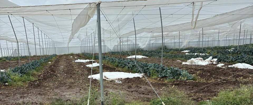 Gobierno responde por tromba en SLP y Arista