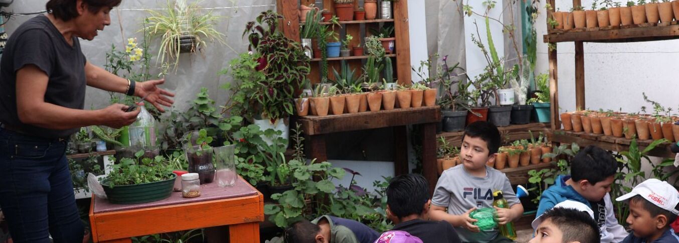 Conciencia ambiental difunde Casa Colorada