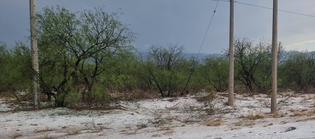 Granizada y lluvias pegan a Mexquitic