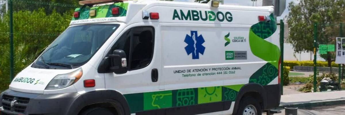 Tiene Soledad Agenda de Protección Animal