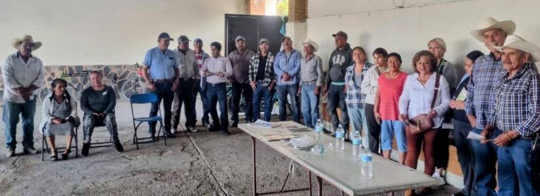 Soledad refuerza trabajo contra gusano barrenador